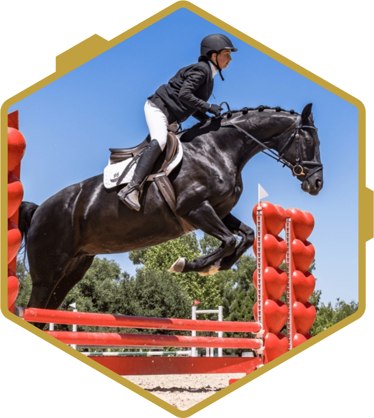 Saint Blaise Equestrian